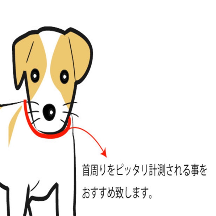 市場 小型 小型犬 アクセサリー イニシャルタグ付き 犬 帆布アクセサリー 送料無料 中型犬 中型犬用