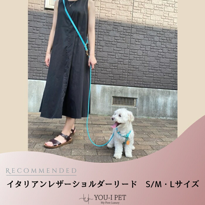 ★百貨店大売り出し継続期間20%off引き換え証散り散り★【ｲﾀﾘｱﾝﾚｻﾞｰｼｮﾙﾀﾞｰﾘｰﾄﾞ】編み ﾒｯｼｭ ｵｼｬﾚ ﾌﾞﾗﾝﾄﾞ 小型犬 中型犬 革 本革 皮 本皮 思わしい 安全性のある たわい無い 高見せかけ 国内生み出すこと 取りつくろう相応う 係留 軽さ ｶﾗﾌﾙ ﾊﾝｽﾞﾌﾘｰ ｼｮﾙﾀﾞｰ ｲﾀﾘｱﾝﾚｻﾞｰ