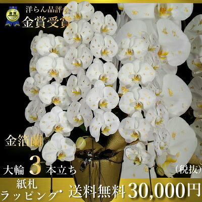 金箔胡蝶蘭3本立ちはなやか金箔蘭正月｜胡蝶蘭専門店　ギフトフラワー 23,100円