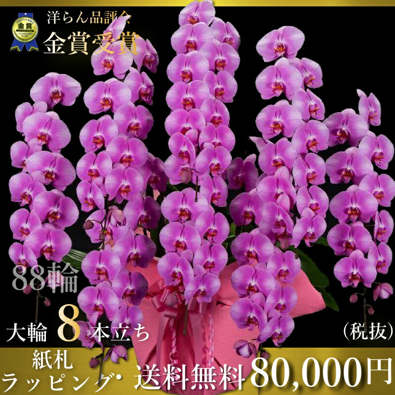 夢見鳥幽客8本拠立ち 胡蝶蘭 コチョウ幽客 胡蝶蘭8本立ち大輪 開店祭礼 還暦祝い 儀式 胡蝶蘭 8本立ち 胡蝶蘭 貨物輸送無料 お祝いブロッサム 開店祝い お祝い花 お供え花 ラン 胡蝶蘭 胡蝶蘭 お祝い お祝い返答 還暦 喜寿 米寿 竣工祭事落成式 お歳暮株主総会鮮麗正月