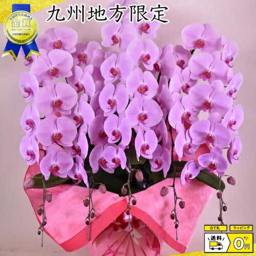 生花 コサージュ 福岡 新品登場 52 割引 Gruporegulariza Com Br