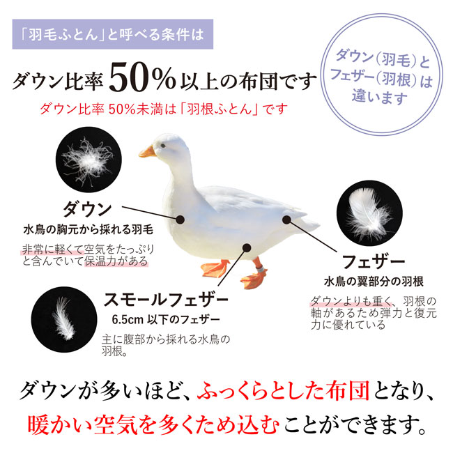 羽毛 掛布団 シングル 冬 羽毛 暖かい あったか 日本製 ダウン 羽毛布団 肌布団 軽い掛け布団 軽量 ふとん 京都 詰物1 0kg 8ヵ所ループ やさしい ダウン90 エアレスト ダウン 送料無料 掛 合 掛けふとん Eleditor Net
