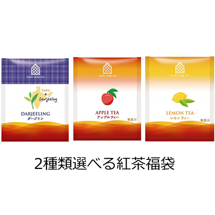 紅茶 ティーバック　【紅茶】2種類選べる100個セット/レモンティー/ダージリンティー/アップルティー