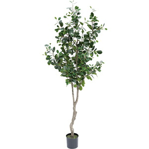 人工観葉植物 フェイクグリーン フランスゴムの木 2100【人工観葉植物・造花】|YOU通販