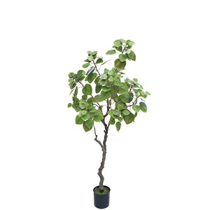 人工観葉植物 フェイクグリーン まるばの木1200【フェイクグリーン・人工観葉植物】|YOU通販