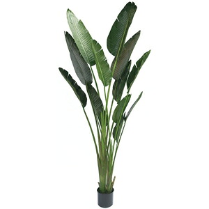 人工観葉植物　フェイクグリーン　オーガスタ1900【人工観葉植物・造花】｜YOU通販