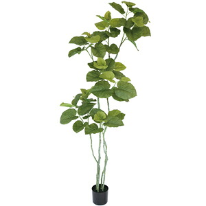 人工観葉植物 フェイクグリーン ウンベラータ2100【人工観葉植物・造花】|YOU通販