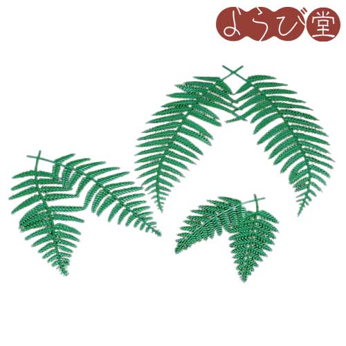 楽天市場】国産 ウラジロ 生【しめ縄飾り】 30cm〜35cm×2枚 : 花の