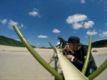 人工竹 キッチンシンクそうめん2 付録一揃いの道具小 流しそうめん竹 流しそうめん 流しそうめん人工竹 流しそうめん竹固化 Bazaremes Com
