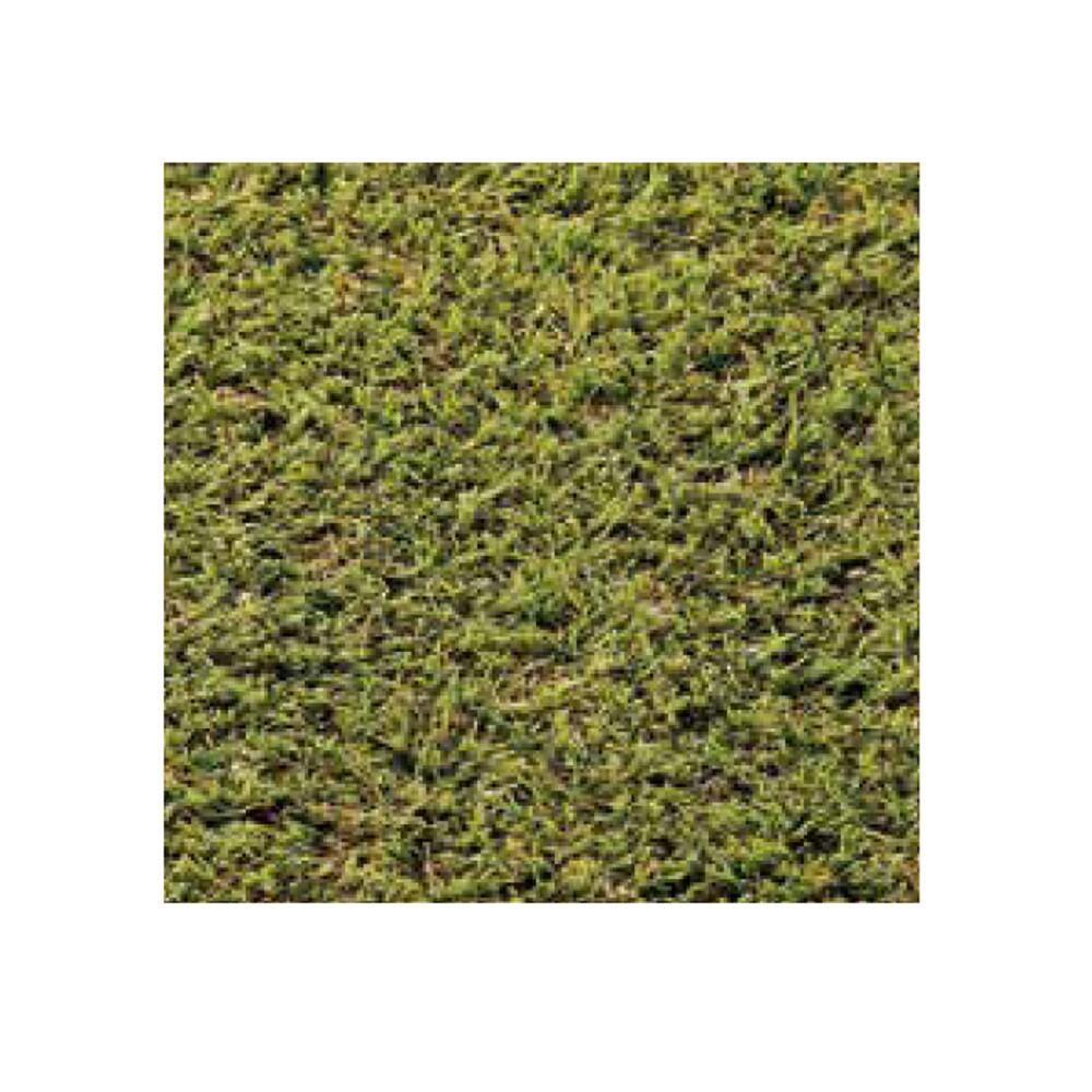 リアリーターフ 人工芝 パイル 25粍 抗菌手合い 1m×10m 被覆資材-ガーデニング・農業
