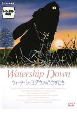 【中古】DVD▼ウォーターシップダウンのうさぎたち▽レンタル落ち