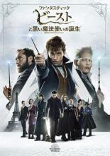 【バーゲンセール】【中古】DVD▼ファンタスティック・ビーストと黒い魔法使いの誕生 レンタル落ち画像
