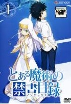 【中古】 とある (60巻セット) 魔術の禁書目録 第1期～第3期、劇場版 ＋ 科学の超電磁砲 第1期～第3期、OVA [レンタル落ち] [DVD]｜遊ＩＮＧ城栄店