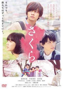 楽天市場】山桜 [東山紀之・田中麗奈] [原作：藤沢周平] 中古DVD