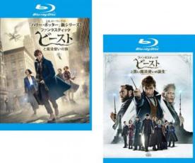 【バーゲンセール】2パック【中古】Blu-ray▼ファンタスティック・ビーストと魔法使いの旅 + 黒い魔法使いの誕生(2枚セット) ブルーレイディスク レンタル落ち 全2巻画像