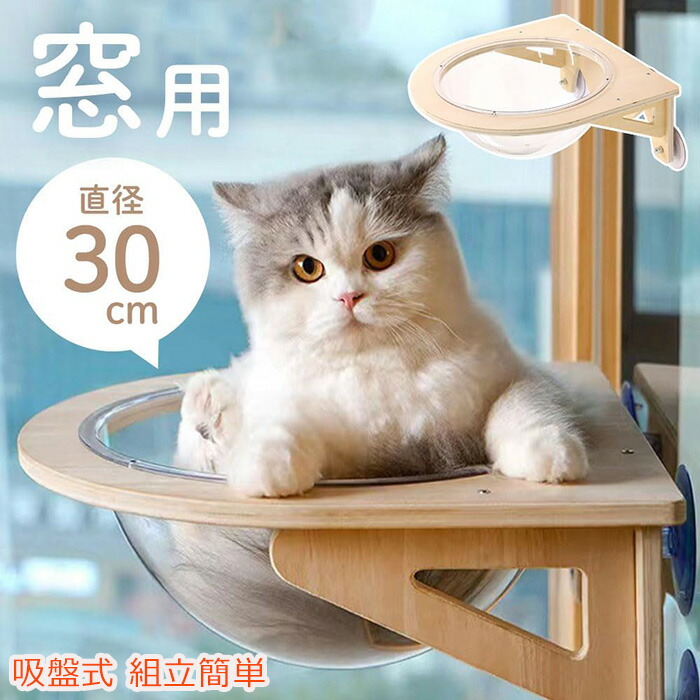 猫 ハンモック 猫 窓用ハンモック 猫窓用ベッド 宇宙船 吸盤式 透明 猫窓用ハンモック キャットハンモック キャットマット 日光浴 組立簡単 吸盤式 休憩 キャットベッド オールシーズン