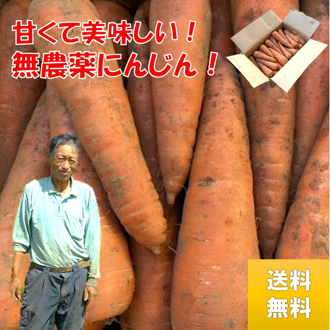 【専用】無肥料 無農薬 秀さんの人参 など２品 楽天市場】【送料無料】 北海道産 人参 （にんじん） 秀品 S〜2L