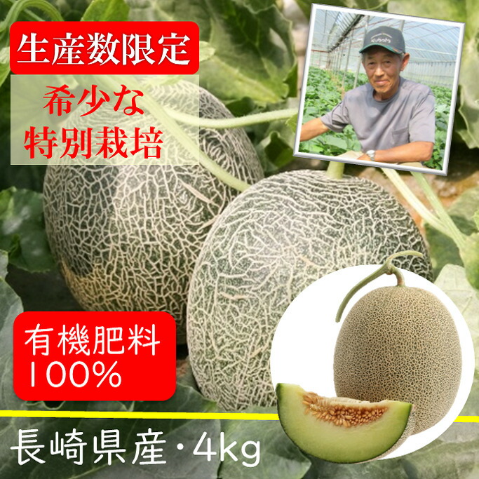 メロン 青肉 赤肉 送料無料（北海道・沖縄除く） 4ｋｇ 減農薬 有機肥料 タカミメロン タカミレッドメロン めろん フルーツ 果物 青肉 赤肉 ギフト 父の日 贈り物 お土産