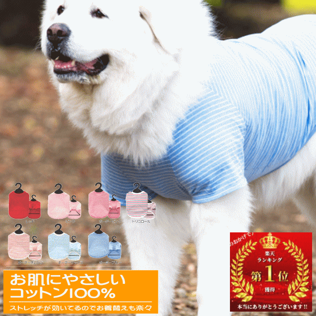 楽天市場 クーポン有 大型 犬服 コットン Tシャツ 綿100 8号 10号 12号 Very Newドッグウェア Giftbox入り抜け毛対策犬の服veryベリー ブランド 犬 の 服 かわいい 着せやすい売れ筋 犬の服 春 夏 動きやすい 着やすい 犬服 ユウランプ