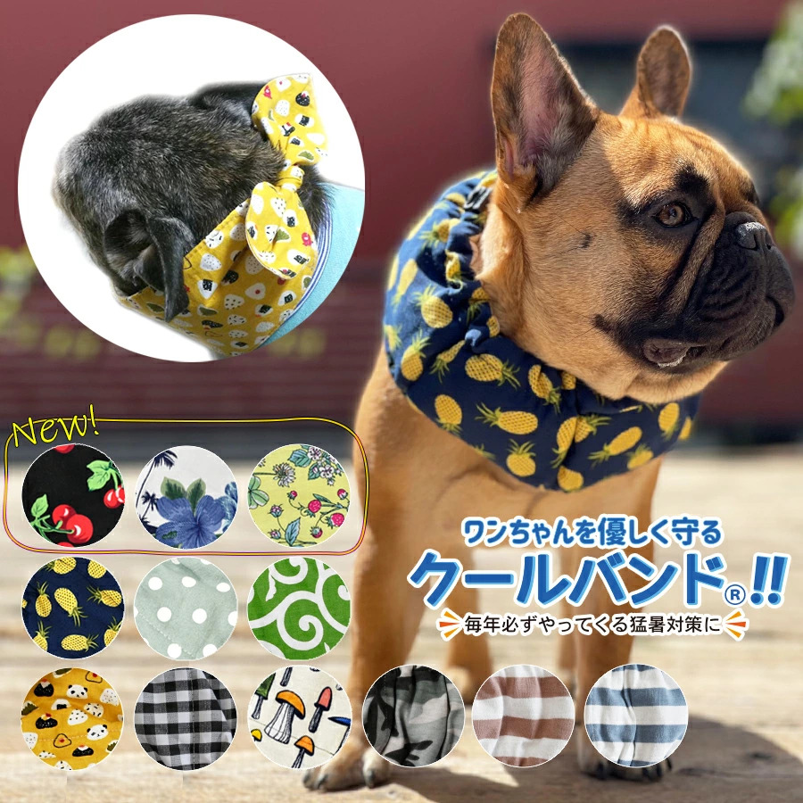 楽天市場】犬 首輪 大型犬 犬用首輪 ドギーマンDoggy'S Tailor ドッグ