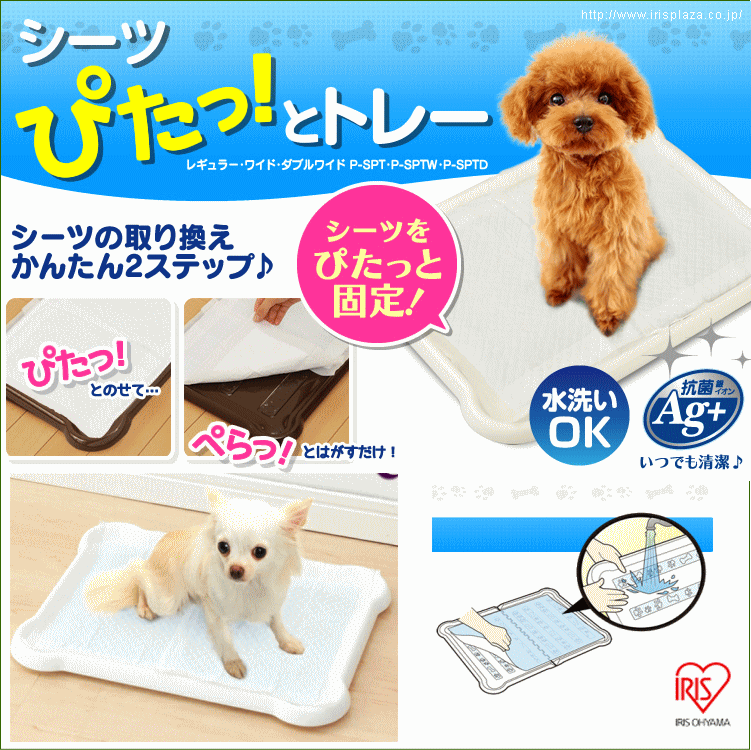 犬 トイレ しつけ トイレトレー レギュラー ペット用 シーツぴたっとトレー