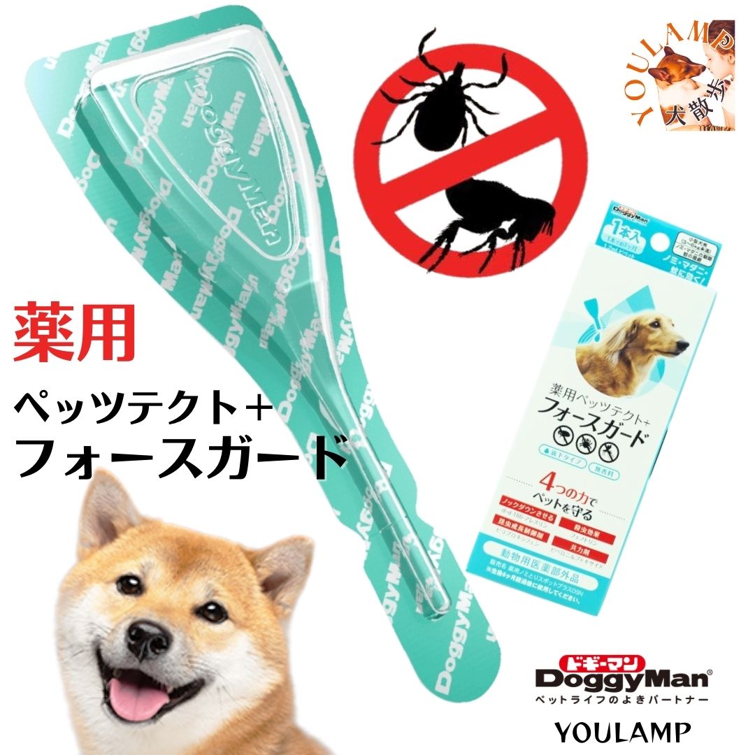 【楽天市場】犬 ノミ ダニ 予防 薬 ペット用 ノミ駆除剤 小型・中型・大型犬 薬用 ペッツテクト フォースガード 1本入 虫よけ ダニ・ノミ ...