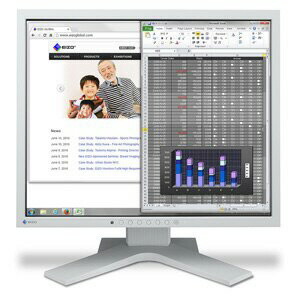 【ポイント10倍】 EIZO 液晶モニタ・液晶ディスプレイ FlexScan S1934-HGY [19インチ セレーングレイ] 【P10倍】