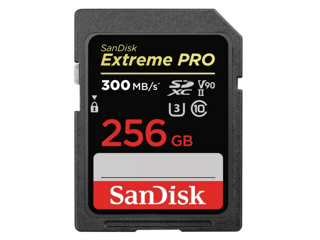 キオクシア　SDXCメモリーカード EXCERIA G2　KSDU-B001T　1TB f564914480e02696b87343937c2fa0