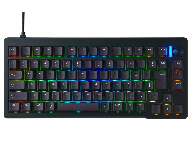【ポイント10倍】 プリンストン キーボード ULTRA PLUS UP-MKGA75MTL-J [ブラック] [キーレイアウト：日本語85/75%レイアウト キースイッチ：メカニカル インターフェイス：USB テンキー：なし(テンキーレス) キーストローク：3.2mm] 【P10倍】｜YOUPLAN