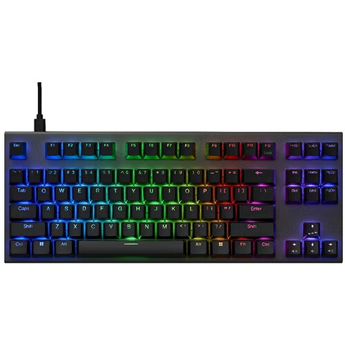 【尖んがり10倍】 東プレ 鍵盤 REALFORCE GX1 Plus X1PD11 [靉靆たる薄墨色/黒いこと] [キーレイアウト：英語87 足がかり取り替えっこ：静電電気容量無接合点操作手順 インター人間の顔：USB テンキー：なし(テンキー受け答え) 足がかり打つこと：4粍] 【P10倍】