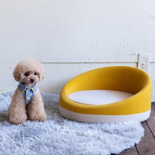 ペット用ソファ イエロー 円形 ファブリック Mサイズ 幅49cm 奥行49cm 高さ24.5cm