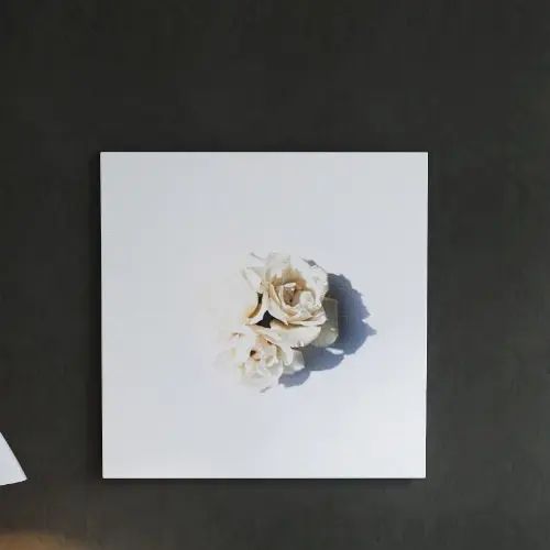 白いバラの花が上品さを引き立たせる 花のアートパネル 16,652円