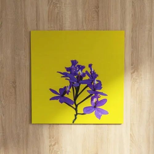 鮮やかな色彩がお部屋に元気を与える 花のファブリックボード