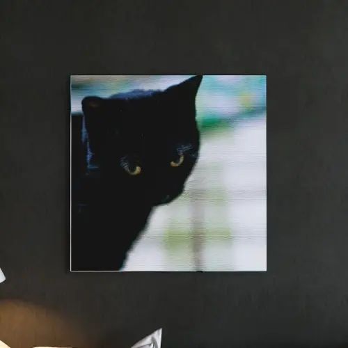 気軽に飾れて貼り出しとは違う身のこなし 飾りつけ室内装飾ならファブリックパネル/猫