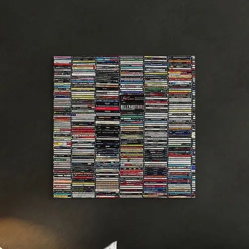 CDに囲まれた人となりを味わえる室内装飾 ファブリックパネル/快い音