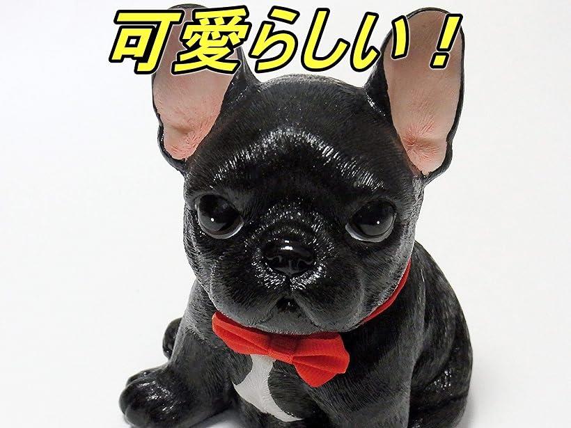 楽天市場 フレンチブルドッグ 犬 置物 インテリア 玄関 ガーデニング オブジェ 雑貨 庭 B大 Reapri