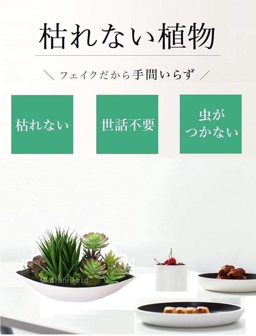 楽天市場 ポット 観葉植物 30cm フェイクグリーン 多肉植物 寄せ植え 造花 置物 人工観葉植物 インテリア サボテン Reapri