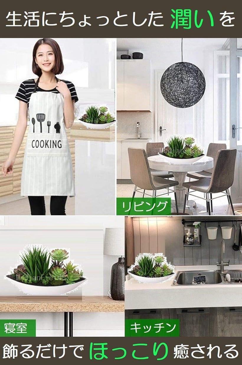 楽天市場 ポット 観葉植物 30cm フェイクグリーン 多肉植物 寄せ植え 造花 置物 人工観葉植物 インテリア サボテン Reapri