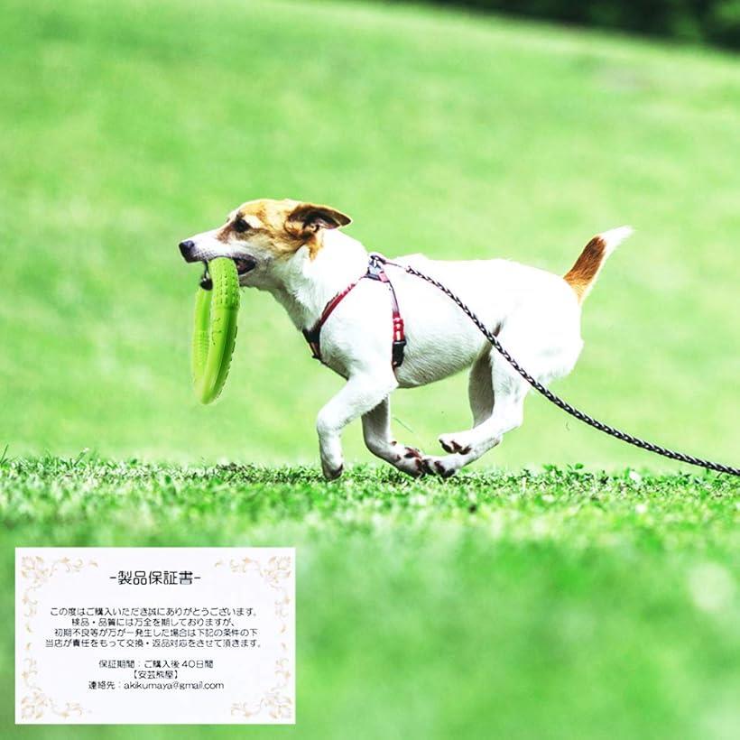 軽くて 丈夫 犬用 かみかみリング 2個セット 水辺で遊べる