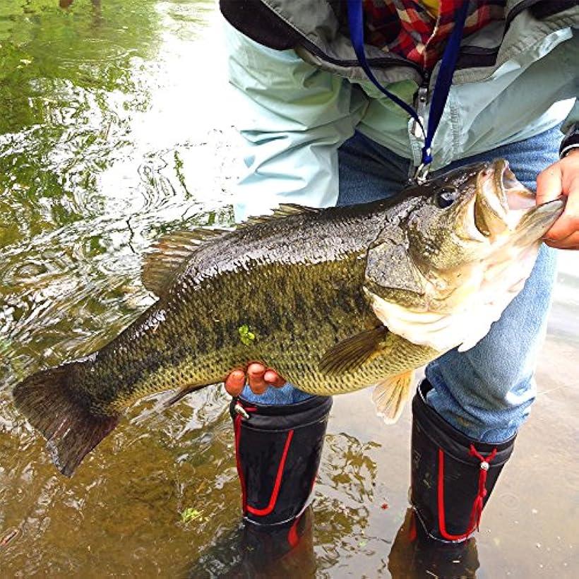 楽天市場 オフセットフック バス ワーム ソフト ル アー 用 2 100本 2 100本 Reapri