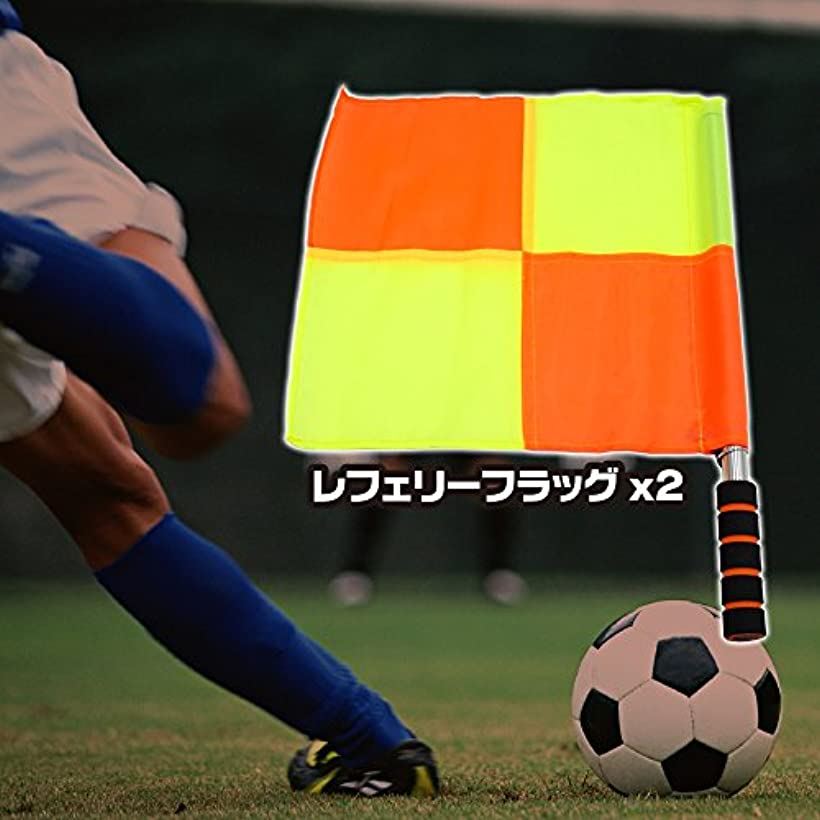 副審 サッカー 2369 副審 サッカー