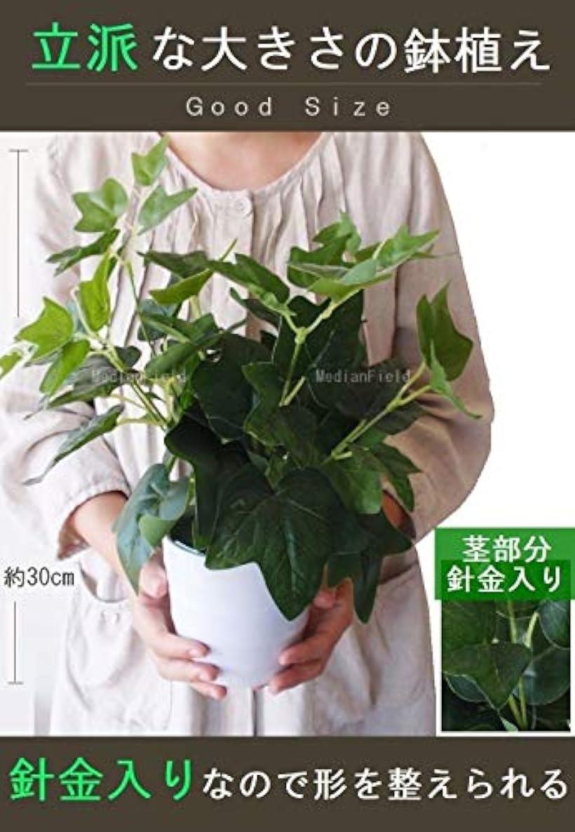 楽天市場 観葉植物 造花 おしゃれ インテリア 雑貨 人工 フェイク グリーン 緑 鉢植え 鉢 Reapri