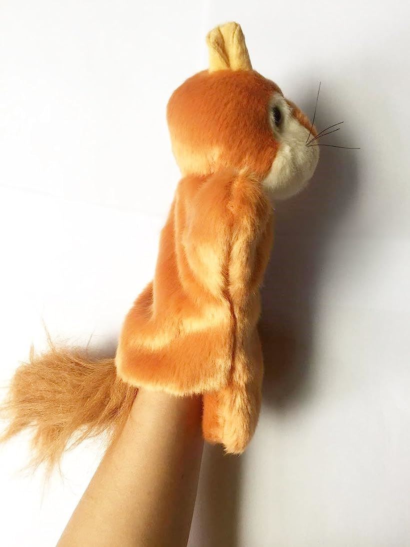 楽天市場 かわいい 動物 パペット 人形劇 S374 りす Reapri