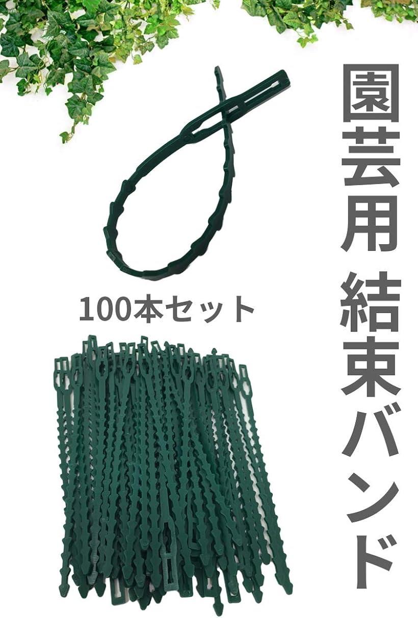 SALE／64%OFF】 園芸 ガーデニング 結束クリップ バンド 支柱 つる