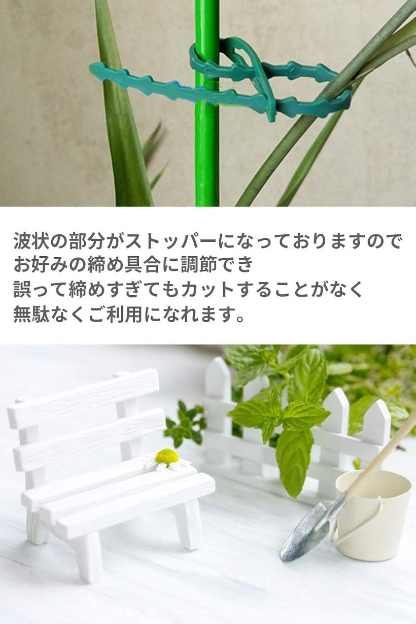 楽天市場 結束バンド 繰り返し使える リピートタイ 園芸用 ガーデニング 支柱 苗木 固定 100本セット Reapri