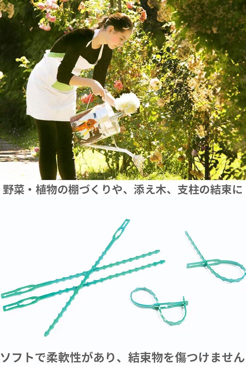 楽天市場 結束バンド 繰り返し使える リピートタイ 園芸用 ガーデニング 支柱 苗木 固定 100本セット Reapri