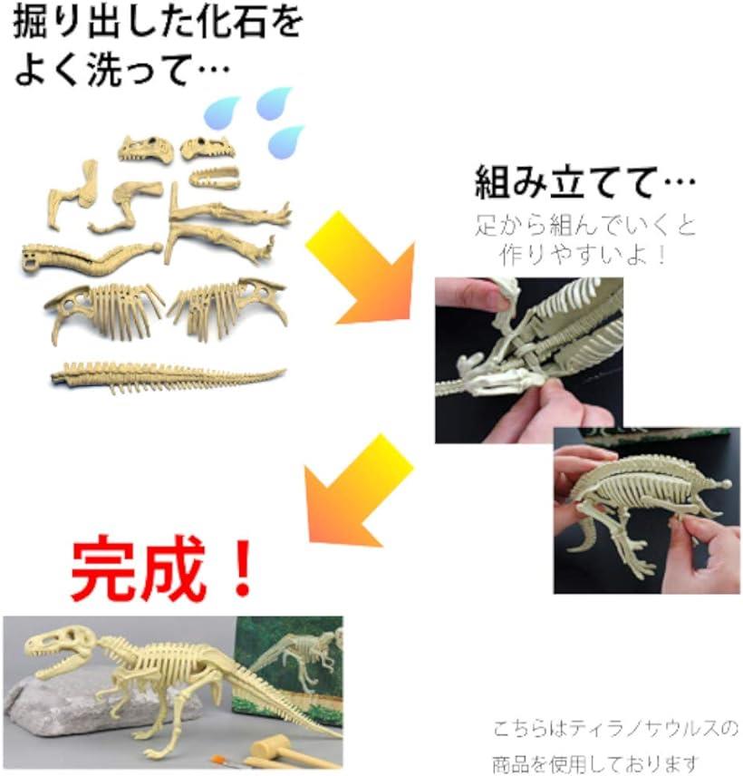 楽天市場 恐竜ラプトル ヴェロキラプトル 小型肉食きょうりゅう 化石発掘セット Reapri