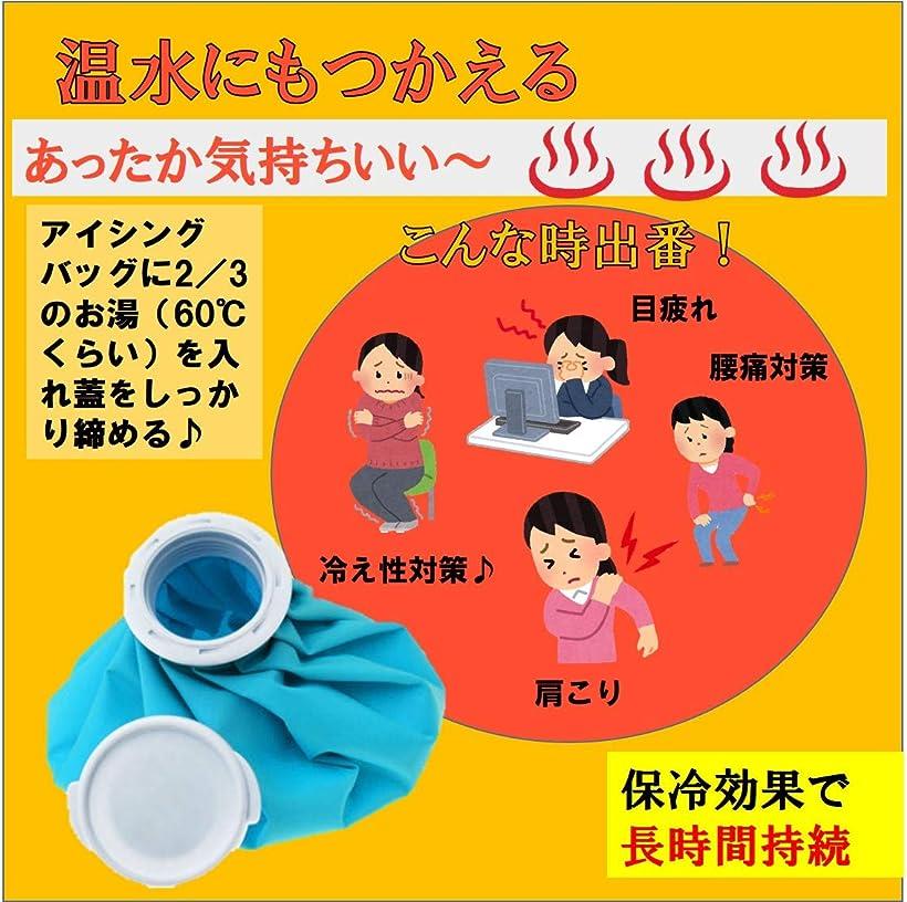 楽天市場 アイシングバッグ 結露なし 水漏れ防止 大口径 アイスバッグ 氷のう ひょうのう 氷袋 温冷両用 3サイズ セット Reapri