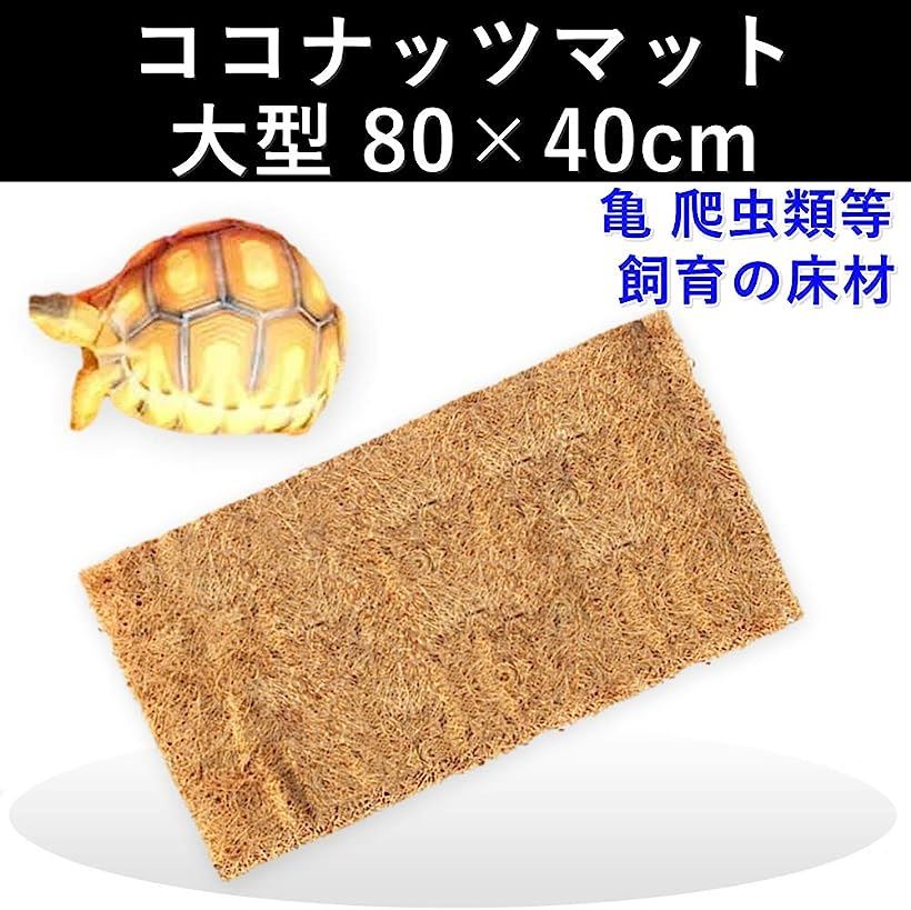 楽天市場 ココナッツマット 床材 大型 80x40cm 爬虫類 昆虫 リクガメ 両生類 飼育 底砂 ペットマット パッド 茶色 Reapri