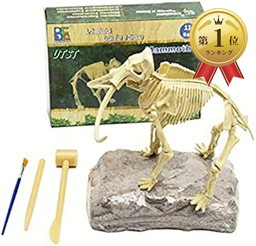 楽天市場 恐竜 化石 発掘 おもちゃ キット ティラノサウルス マンモス 知育 知的 興味 子供用 景品 ギフト プレゼント に Reapri
